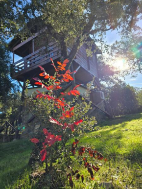 Nuevo Ecolodge Cabañeros